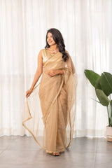 Light Beige Thread Work Organza Saree