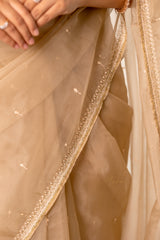Light Beige Thread Work Organza Saree