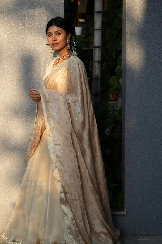 Light Gold Organza Tissue Lehenga