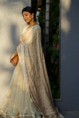 Light Gold Organza Tissue Lehenga
