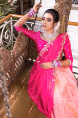 Pink On Pink Silk Chanderi Lehenga