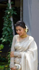 Champagne Tissue Organza Cutwork Saree