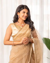 Light Beige Thread Work Organza Saree