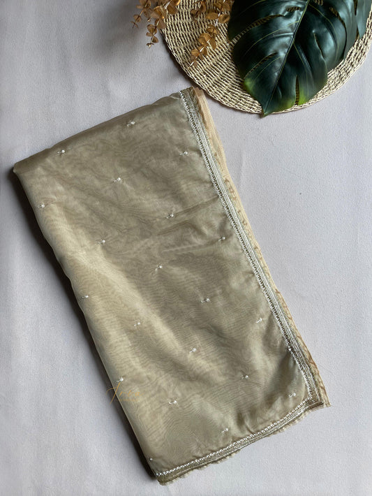 Beige Organza Saree