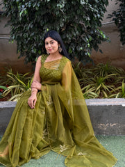 Mehendi Green Organza Birds Embellished Saree