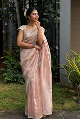 Pastel Pink Hand Embroidered Tissue Organza Saree