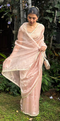 Pastel Pink Hand Embroidered Tissue Organza Saree