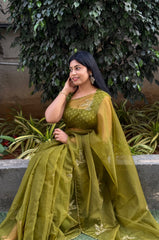 Mehendi Green Organza Birds Embellished Saree