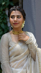 Champagne Tissue Organza Cutwork Saree